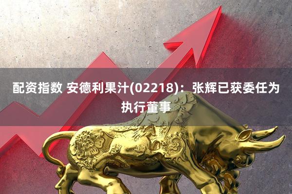 配资指数 安德利果汁(02218)：张辉已获委任为执行董事
