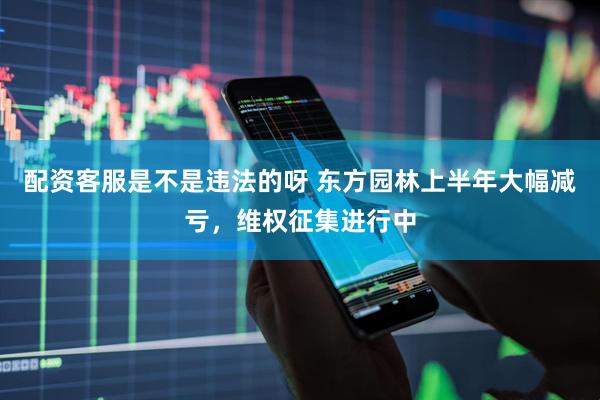 配资客服是不是违法的呀 东方园林上半年大幅减亏，维权征集进行中
